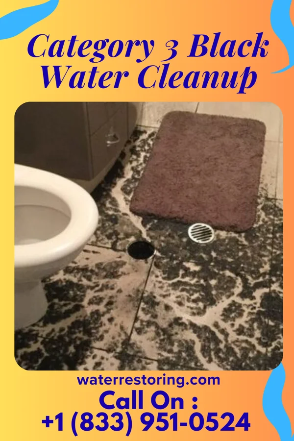 Category 3 Black Water Cleanup in Westhampton Beach, NY