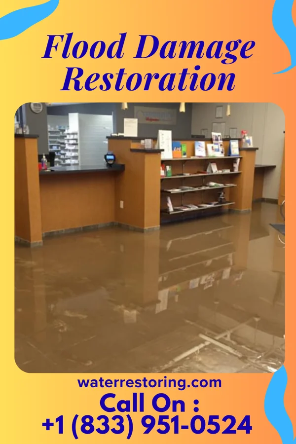 Flood Damage Restoration in Westhampton Beach, NY